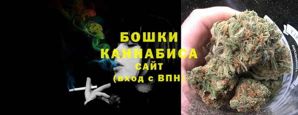 соль ск Белокуриха