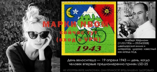 эйфоретик Богданович