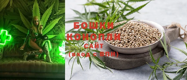 эйфоретик Богданович