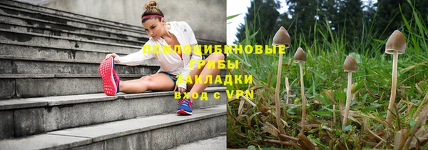 трава Беломорск