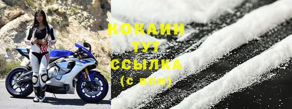 эйфоретик Богданович