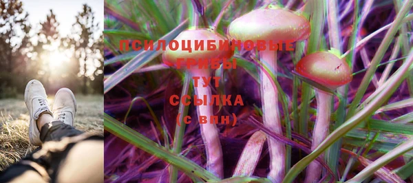 прущая мука Белоозёрский