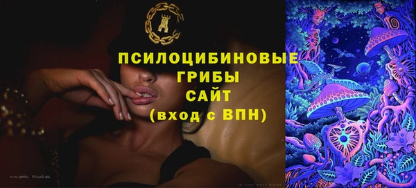 соль ск Белокуриха